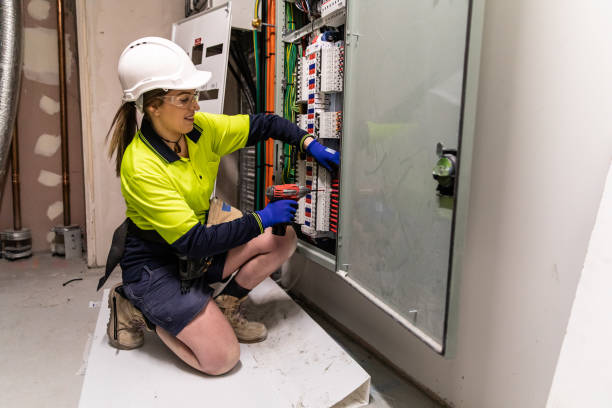 Best Electric Panel Repair  in St Peter, WI